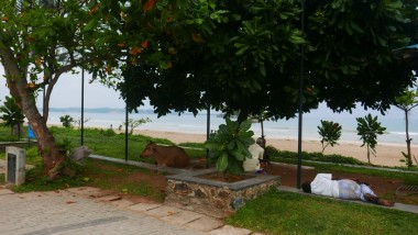 Sri Lanka Part 1
